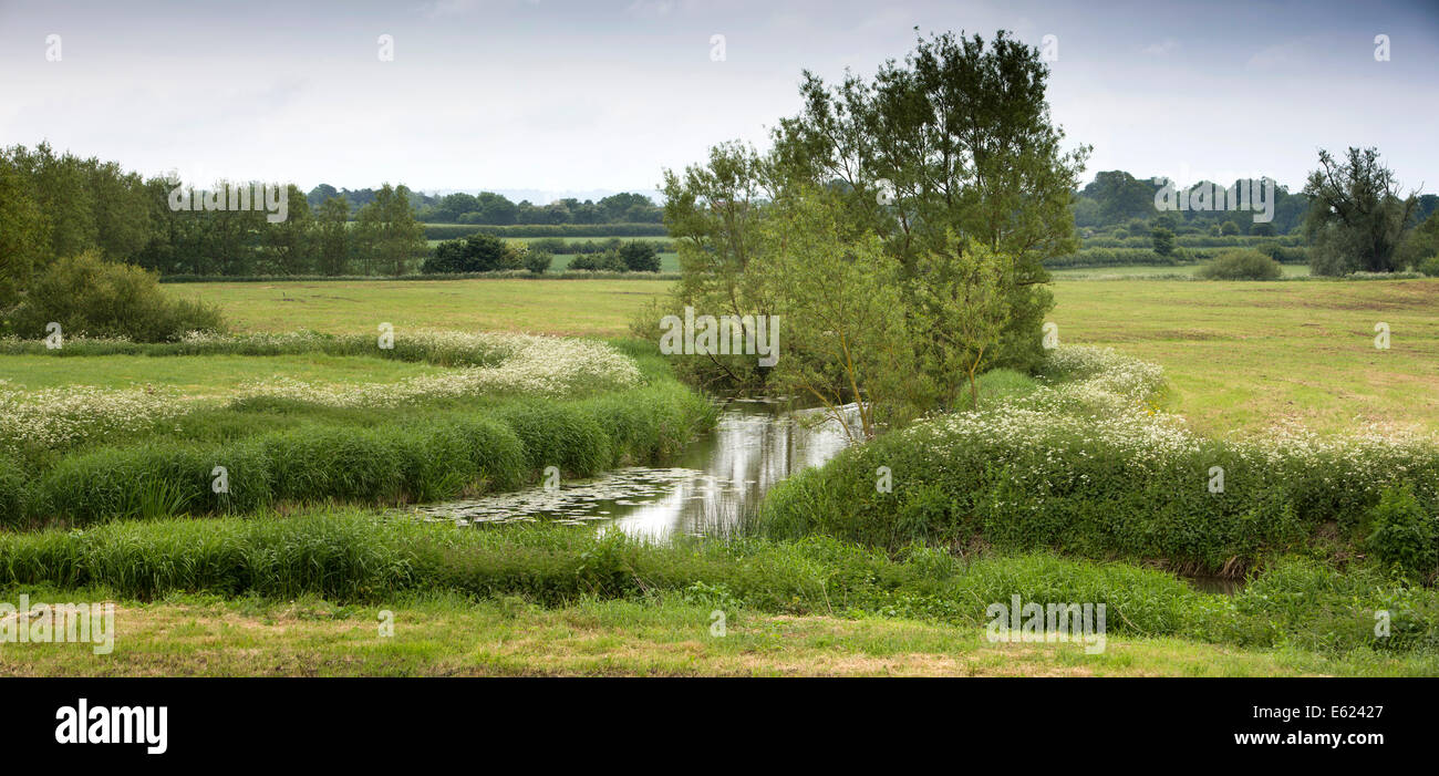 UK England, Dorset, Marnhull, King’s Mill, River Cale joining River