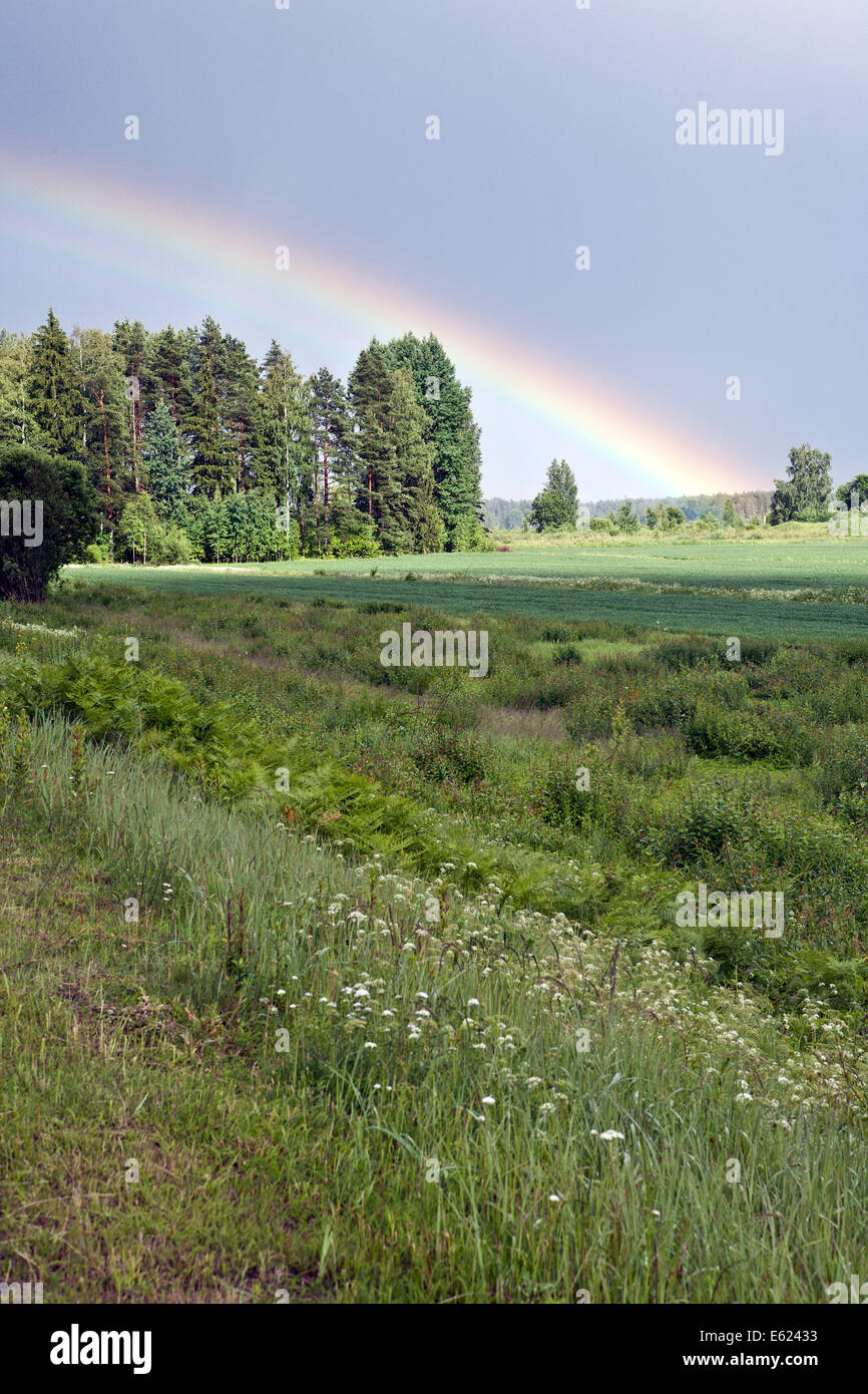 Bright rainbows over Plavinas in Latgale reg. Latvia Stock Photo