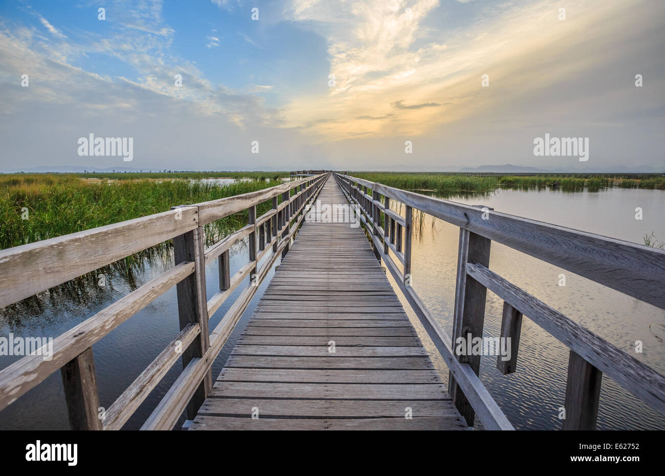 Wetland walkway with sunset sky Stock Photo