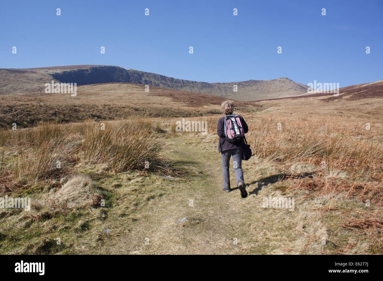 Walking towards the mountains of Cadair Berwyn and Moel Sych in the Berwyn hill range of North Wales Stock Photo