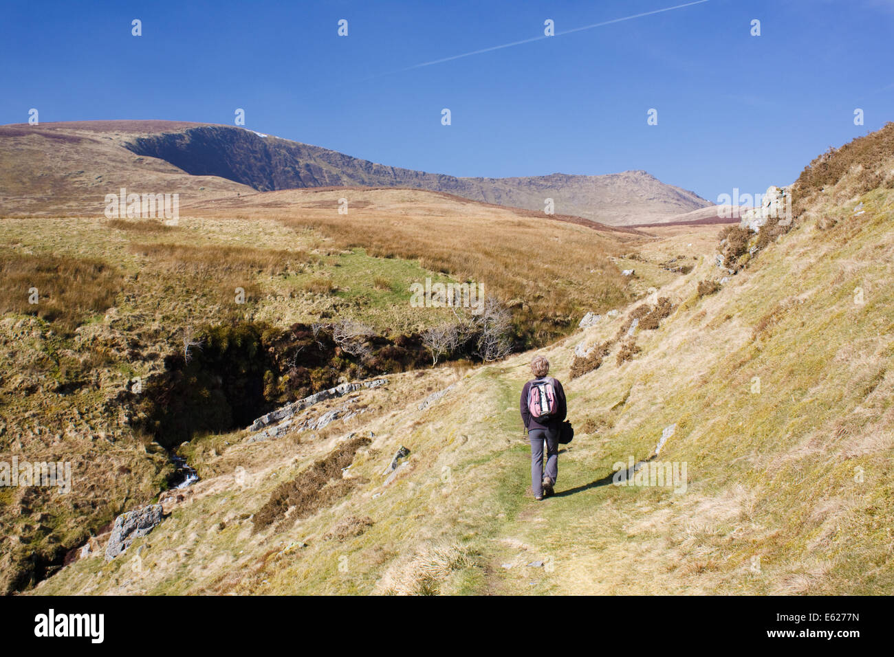 The berwyn hires stock photography and images Alamy