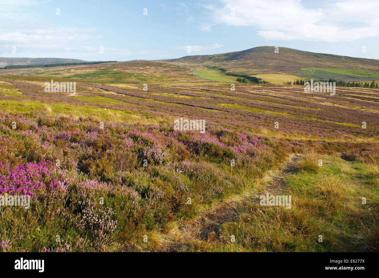 Looking towards Foel Cwm Sian Llwyd, a hill in the Berwyn range of ...