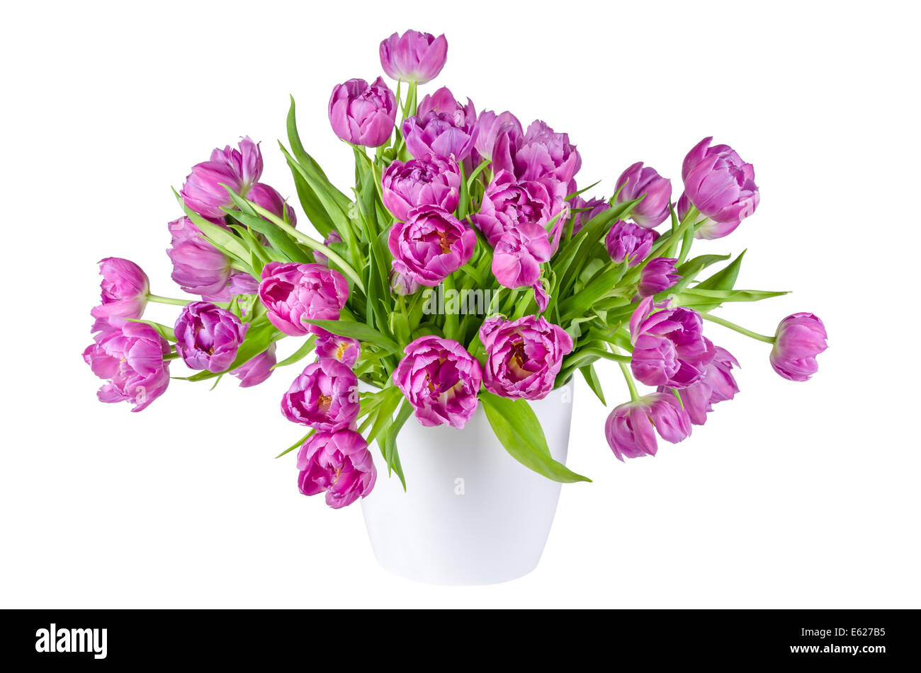 Beautiful bouquet of pink tulips in flowerpot isolated on white ...