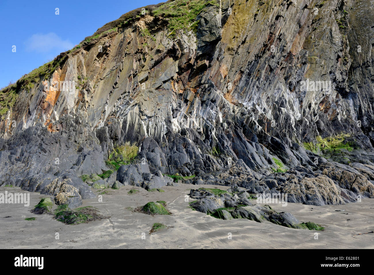 Cliff face at Pwllgwaelod beach at low tide showing intertidal marking, Pembrokeshire, Wales Stock Photo