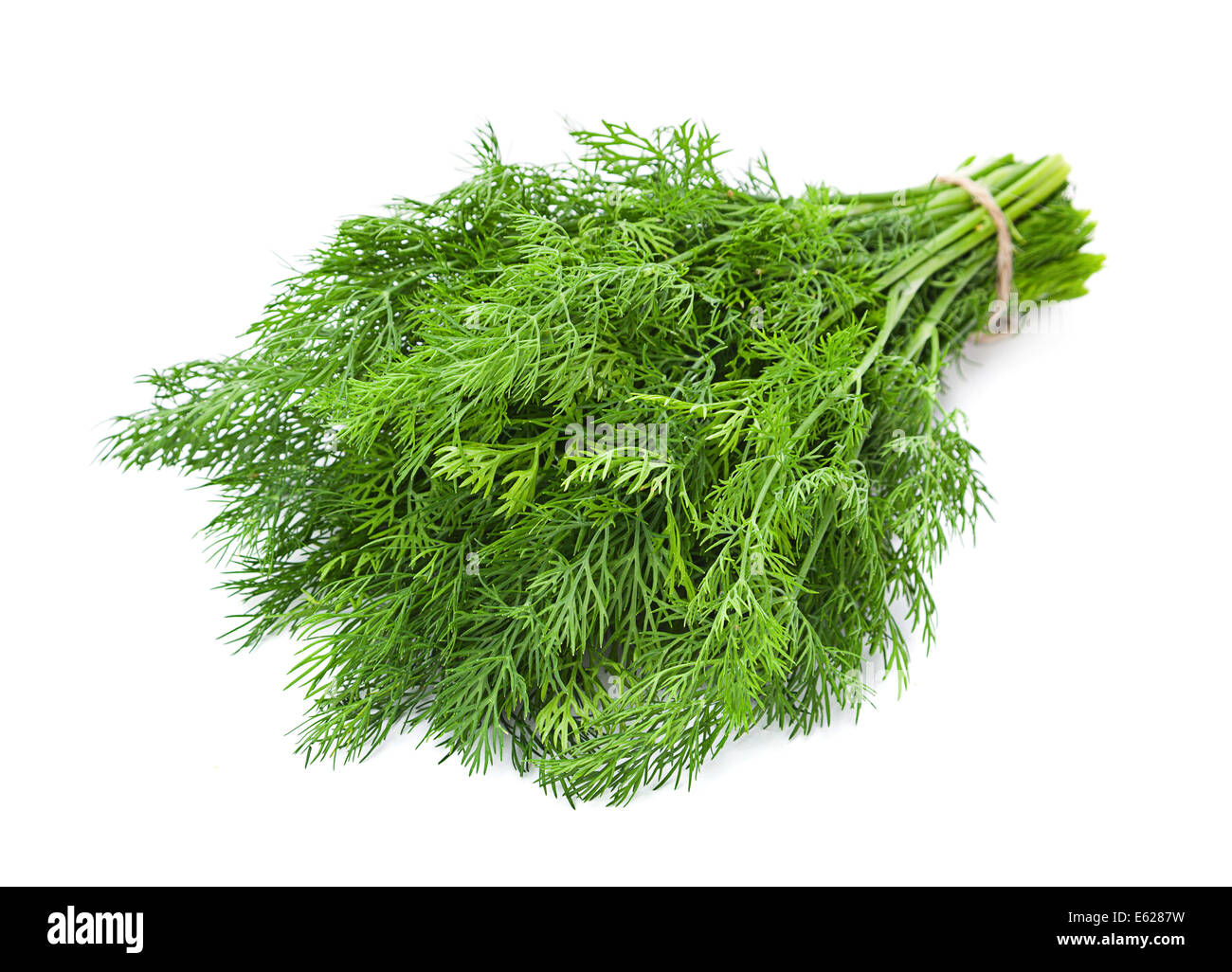 Dill herb closeup isolated on white background Stock Photo Alamy