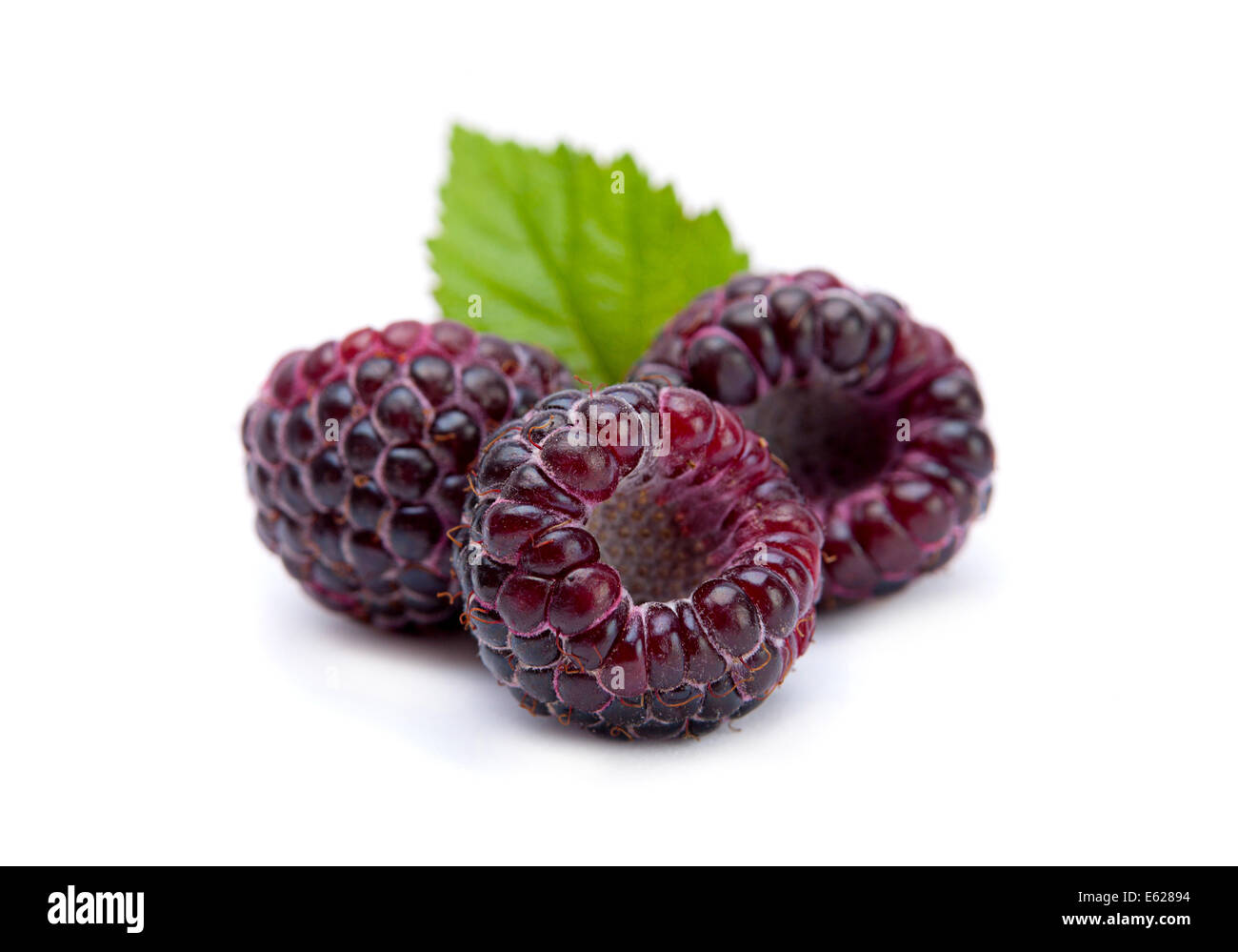Black raspberry Cumberland isolated on white background Stock Photo - Alamy