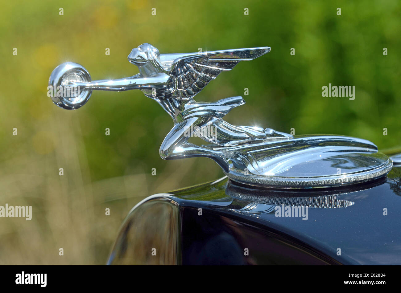 Juechen, Germany. 2nd Aug, 2014. A Packard hood ornament is on display on the bonnet of a Packard 'Super Eight 1004 Victoria Convertible' car model built in 1933 during the 'Classic Days' vintage car show at Dyck palace in Juechen, Germany, 2 August 2014. Photo: Horst Ossinger/dpa - NO WIRE SERVICE -/dpa/Alamy Live News Stock Photo