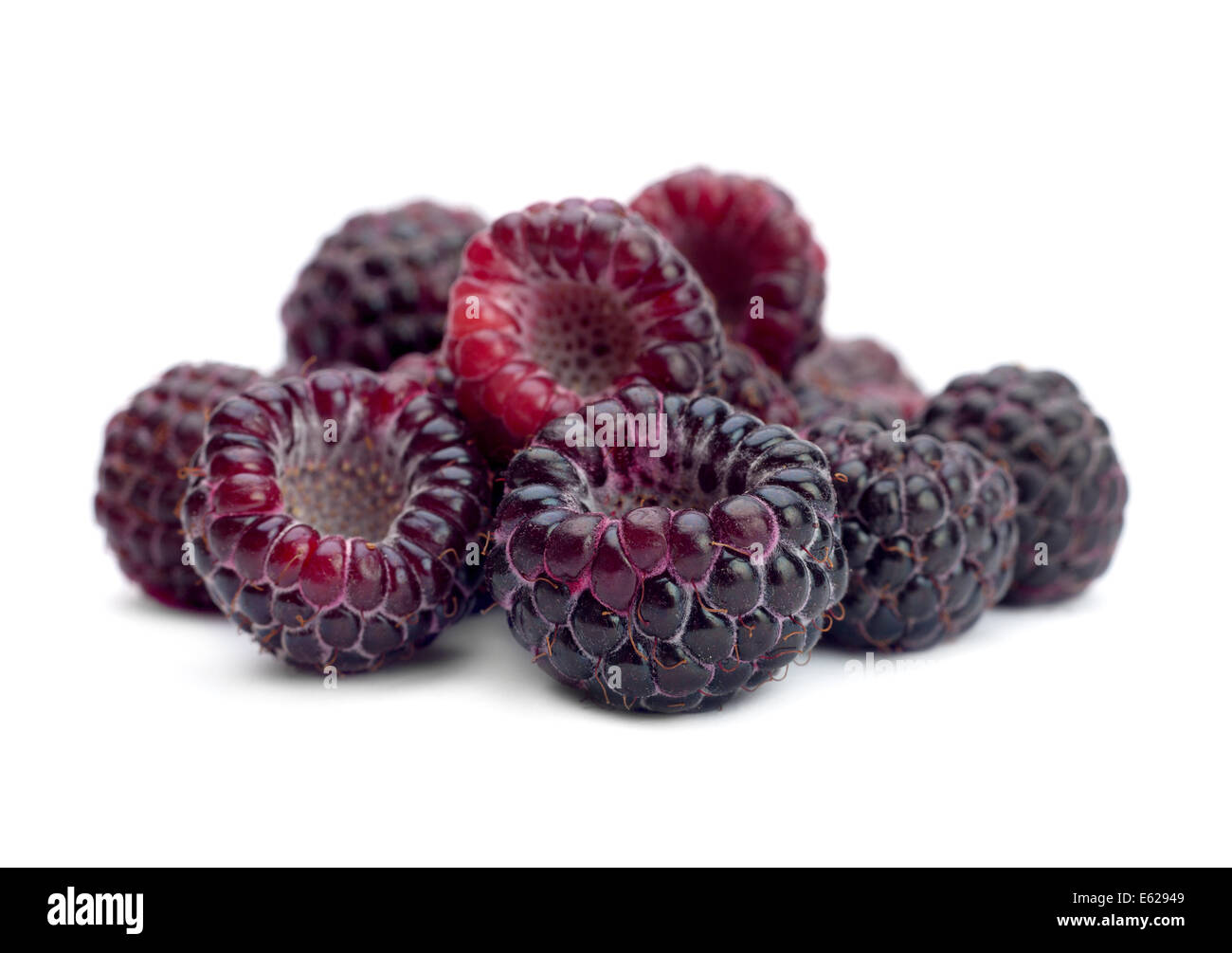 Black raspberry Cumberland isolated on white background Stock Photo - Alamy