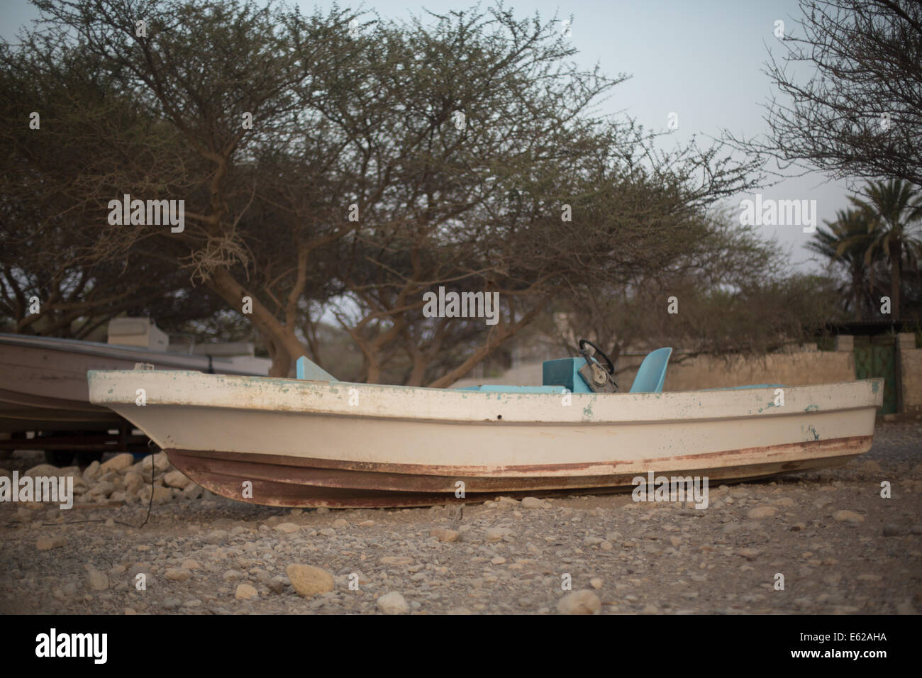 Fishing boat under an Umbrella Thorn Tree, Dibba, Oman Stock Photo - Alamy