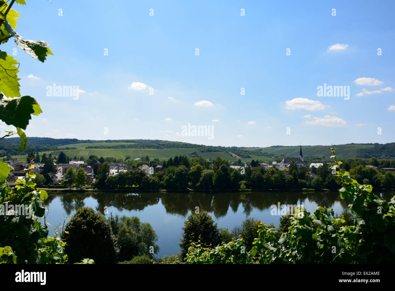 Longuich Moselle river valley vineyard landscape with blue sky Mosellandschaft Moseltal Römische Weinstrasse Germany Mosel Fluss Stock Photo