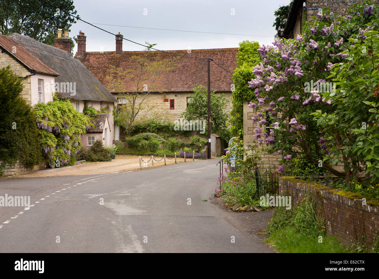 UK England, Dorset, Marnhull, Burton Street, idyllic village houses
