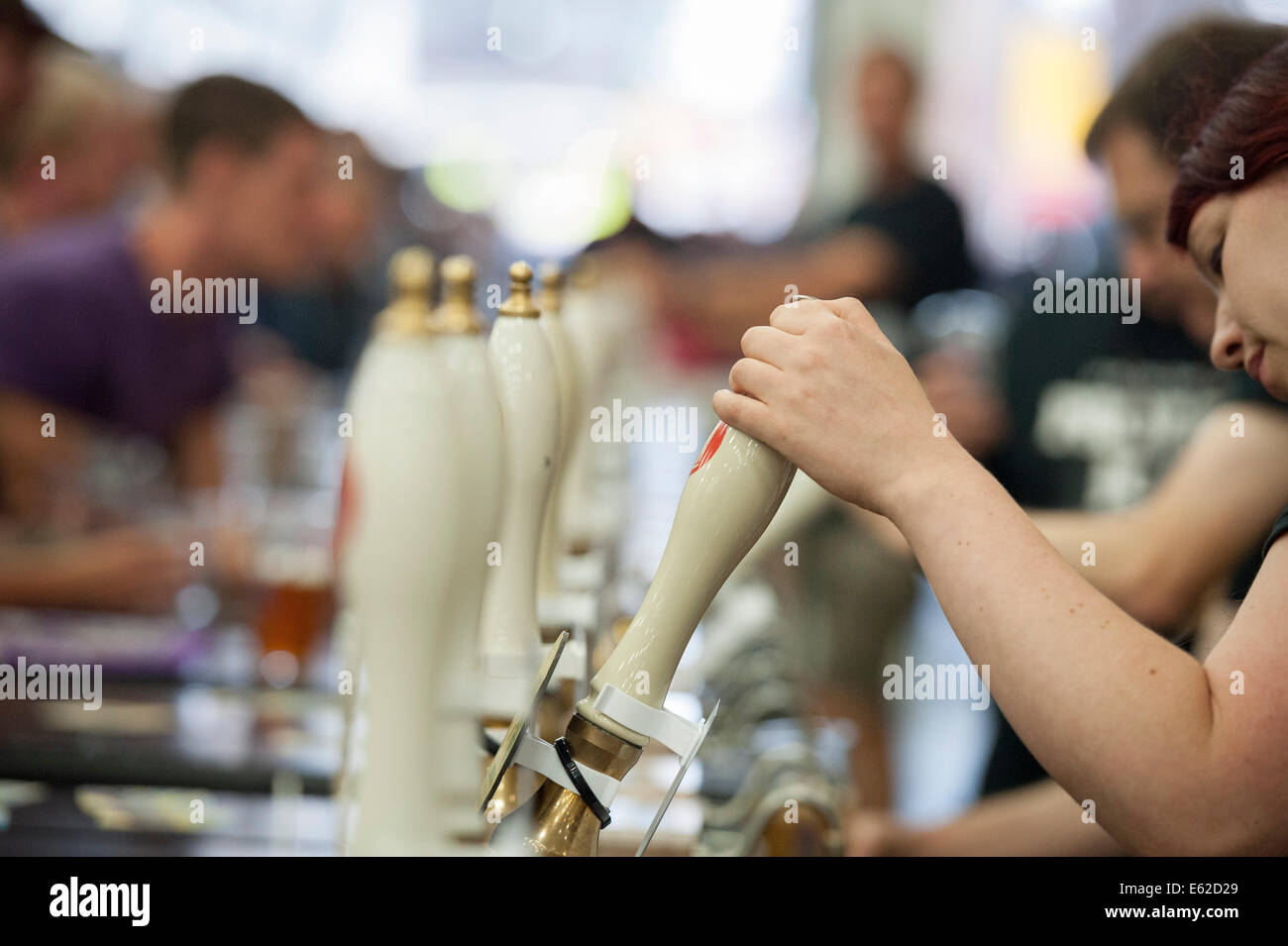 Olympia Exhibition Centre, London, UK. 12th August 2014. The Great British Beer Festival began its 5 day stint at the Olympia exhibition centre in west London. The festival, organised by the Campaign for Real Ale (CAMRA), launched a call to action on the first day which hopes to see 55,000 festival-goers lobbying their MP as the UK pub closure rate rises to an estimated 31 per week. Pictured: A barmaid pulls a pint at The Great British Beer Festival. Credit:  Lee Thomas/Alamy Live News Stock Photo