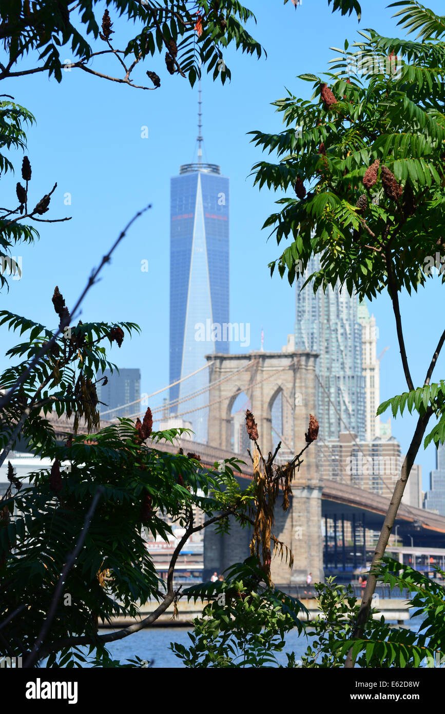 View of Lower Manhattan from Brooklyn Bridge Park. Stock Photo