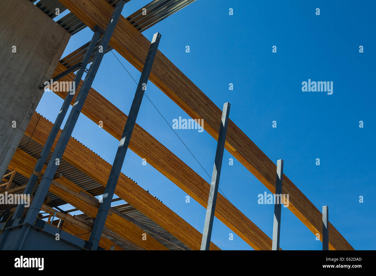 Array of large laminated wooden beams used as a roof support in an open
