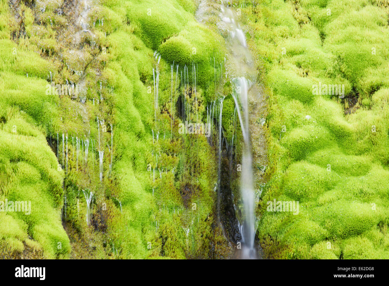 Mossy Waterfall West Fjords Iceland LA007304 Stock Photo