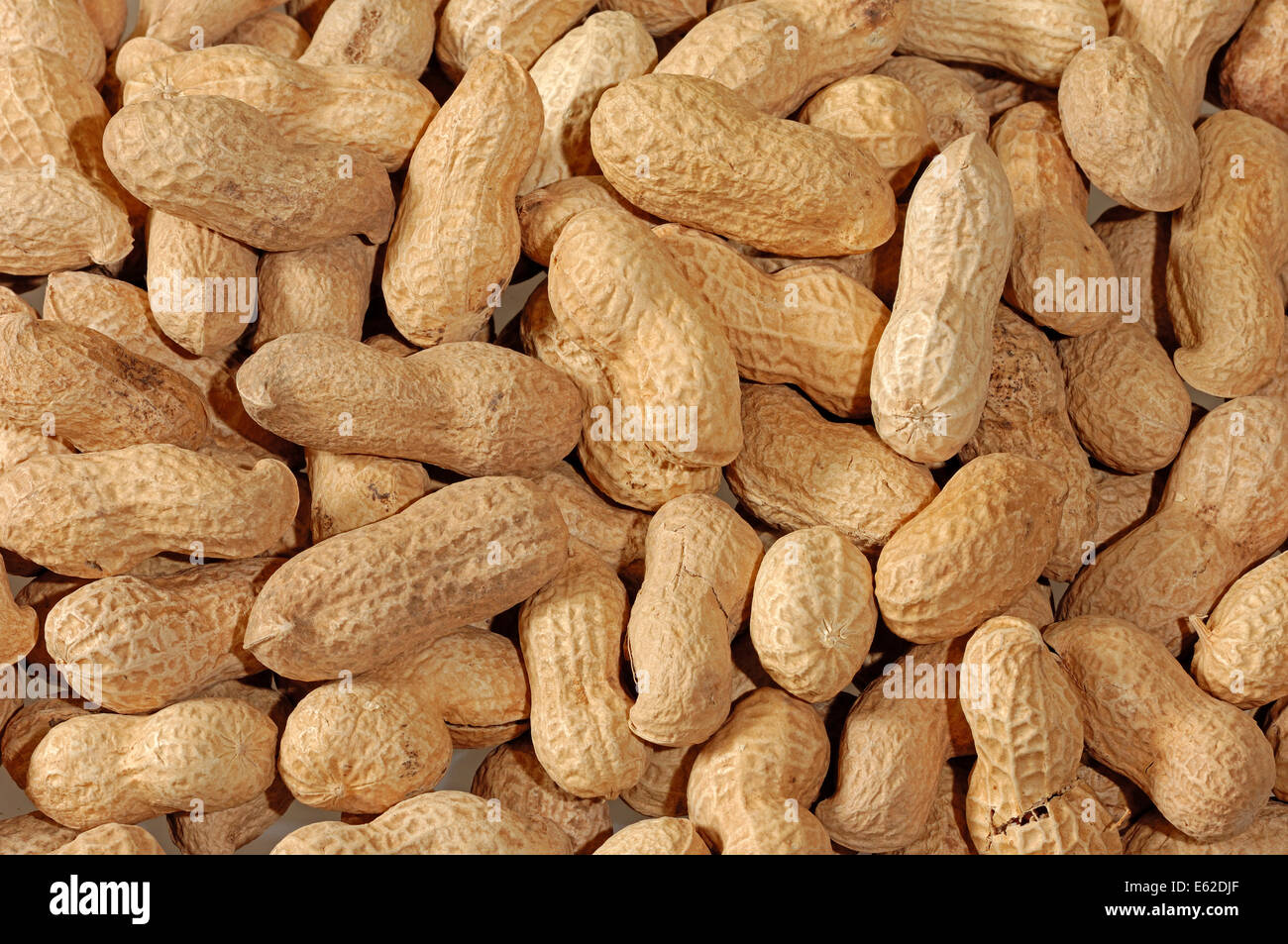 Peanuts or Groundnuts (Arachis hypogaea) Stock Photo