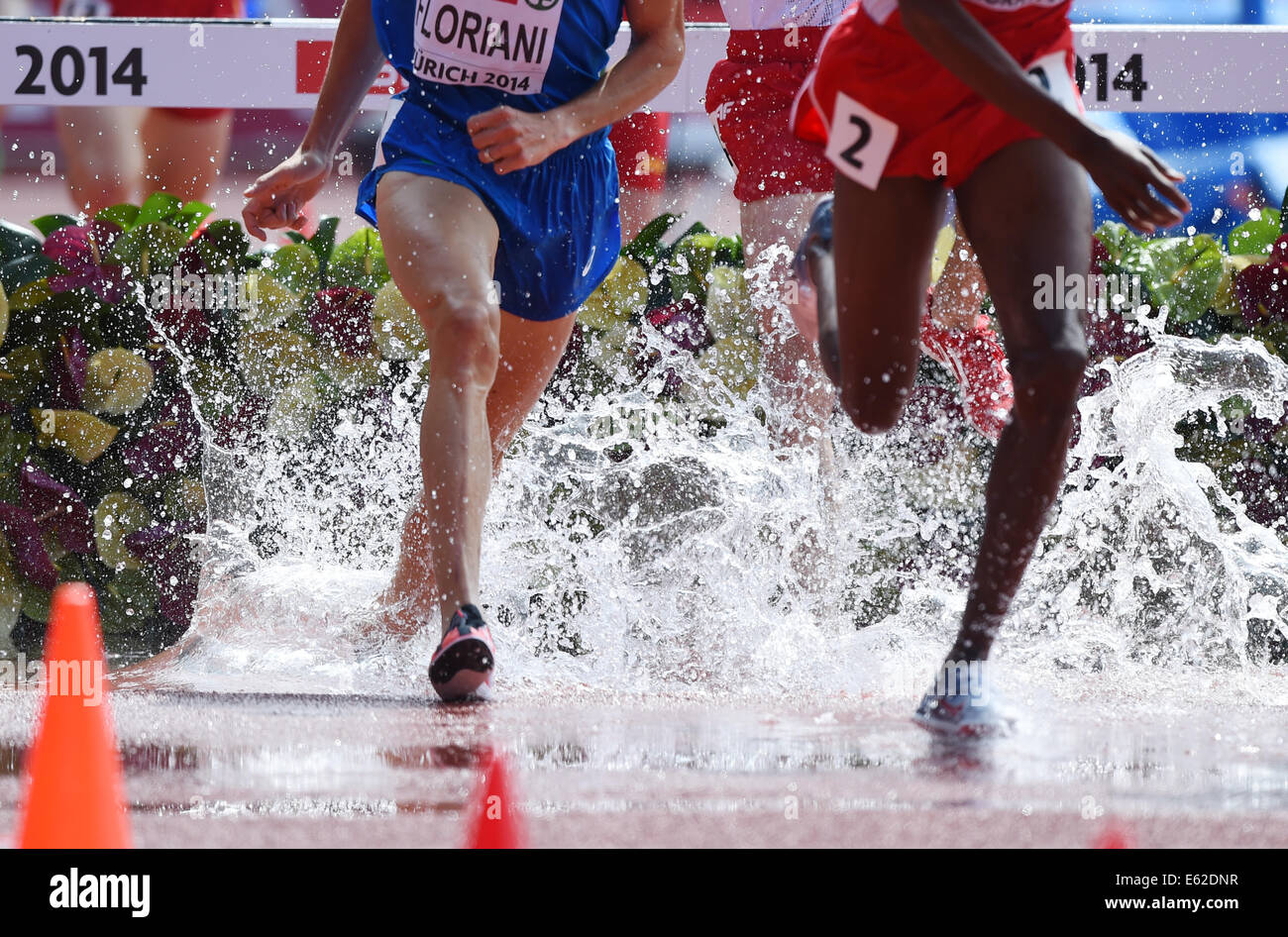 3000m steeplechase men qualifying hires stock photography and images