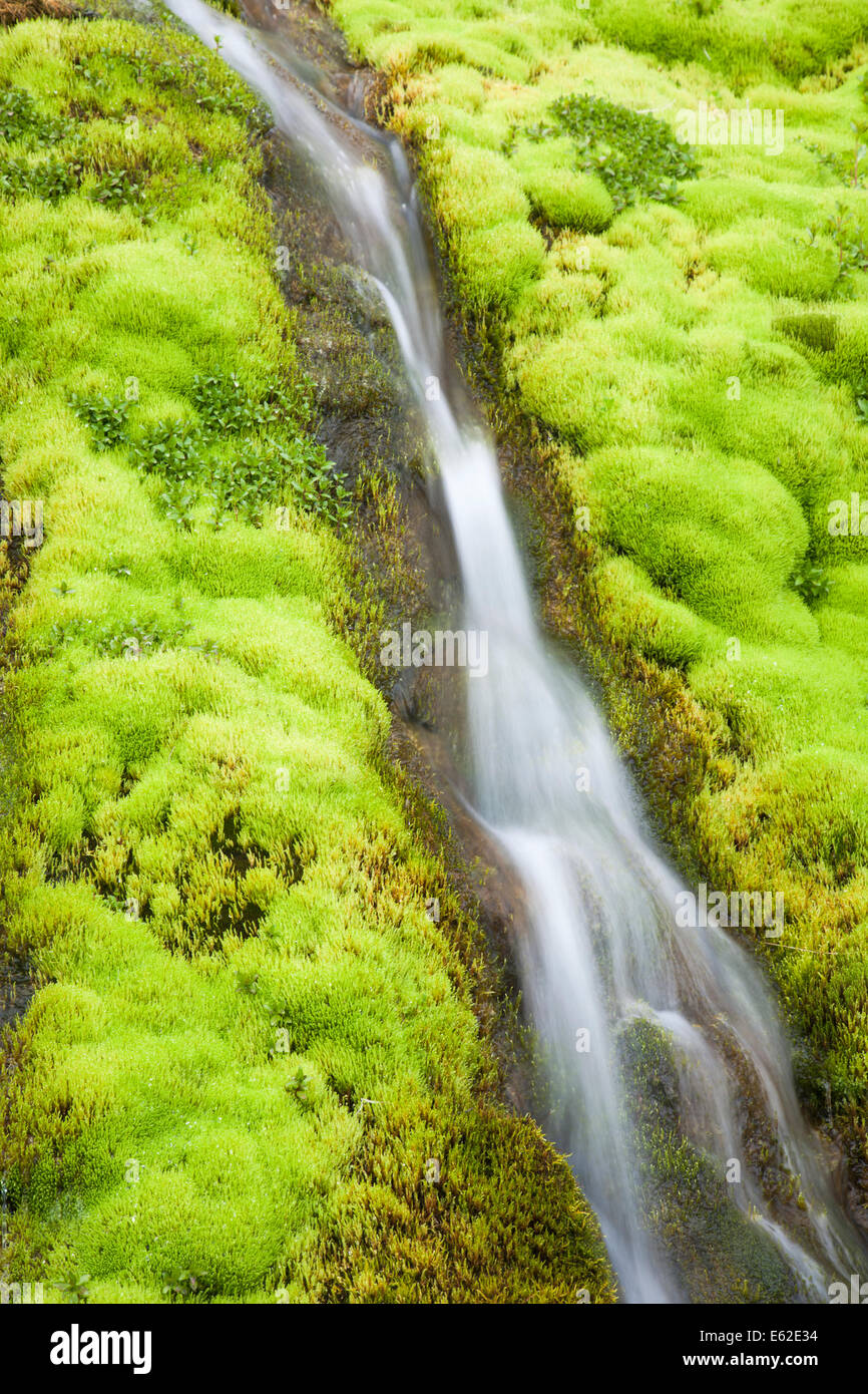 Mossy Waterfall West Fjords Iceland LA007309 Stock Photo