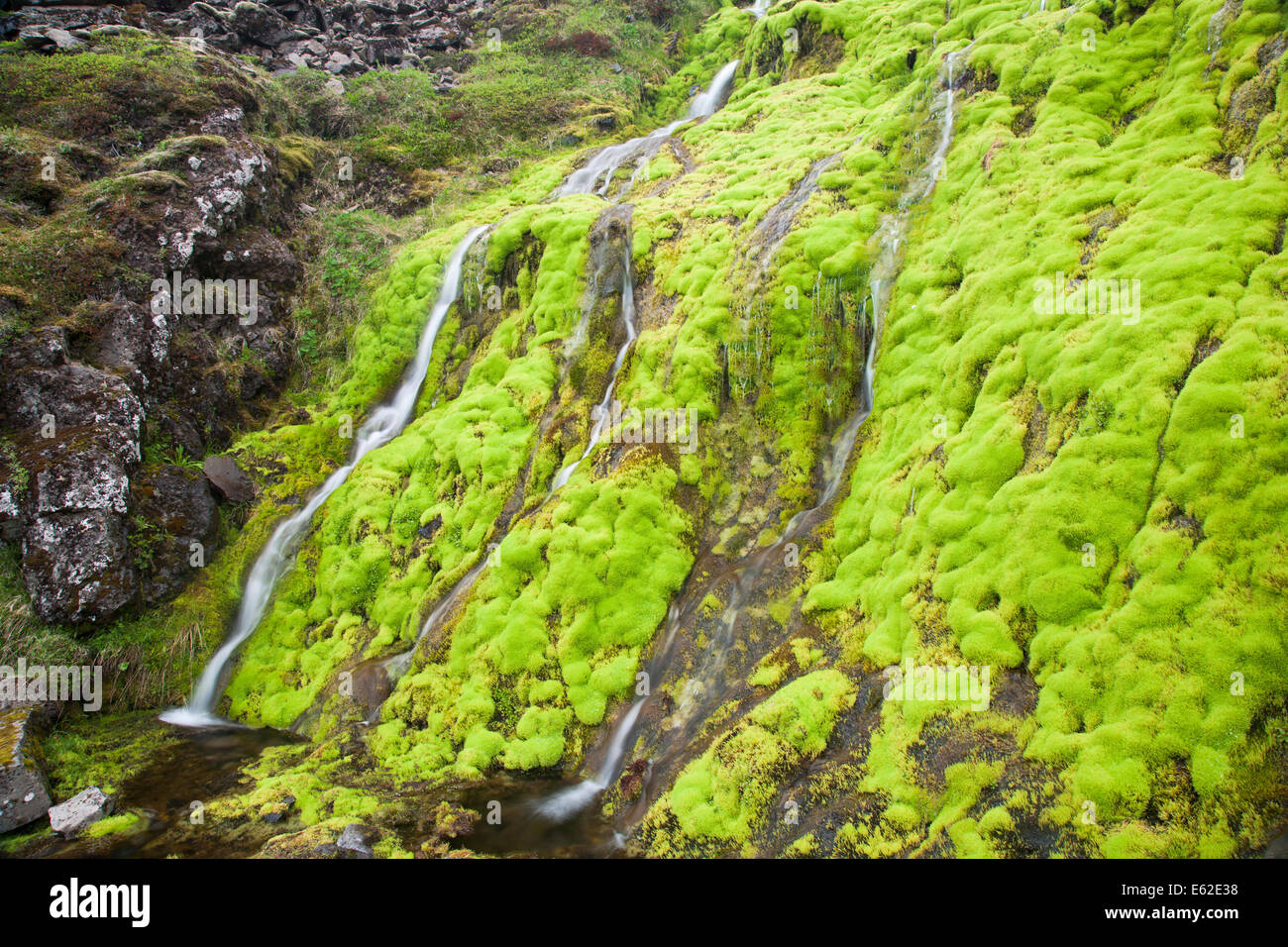 Mossy Waterfall West Fjords Iceland LA007311 Stock Photo