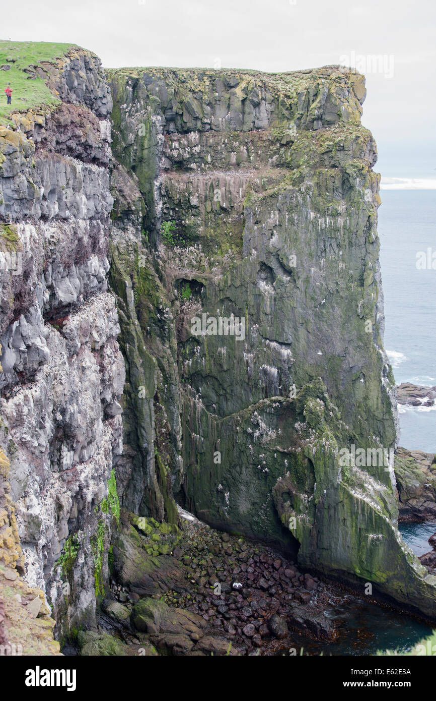 Seabird Cliffs at Latrabjarg Iceland LA007316 Stock Photo