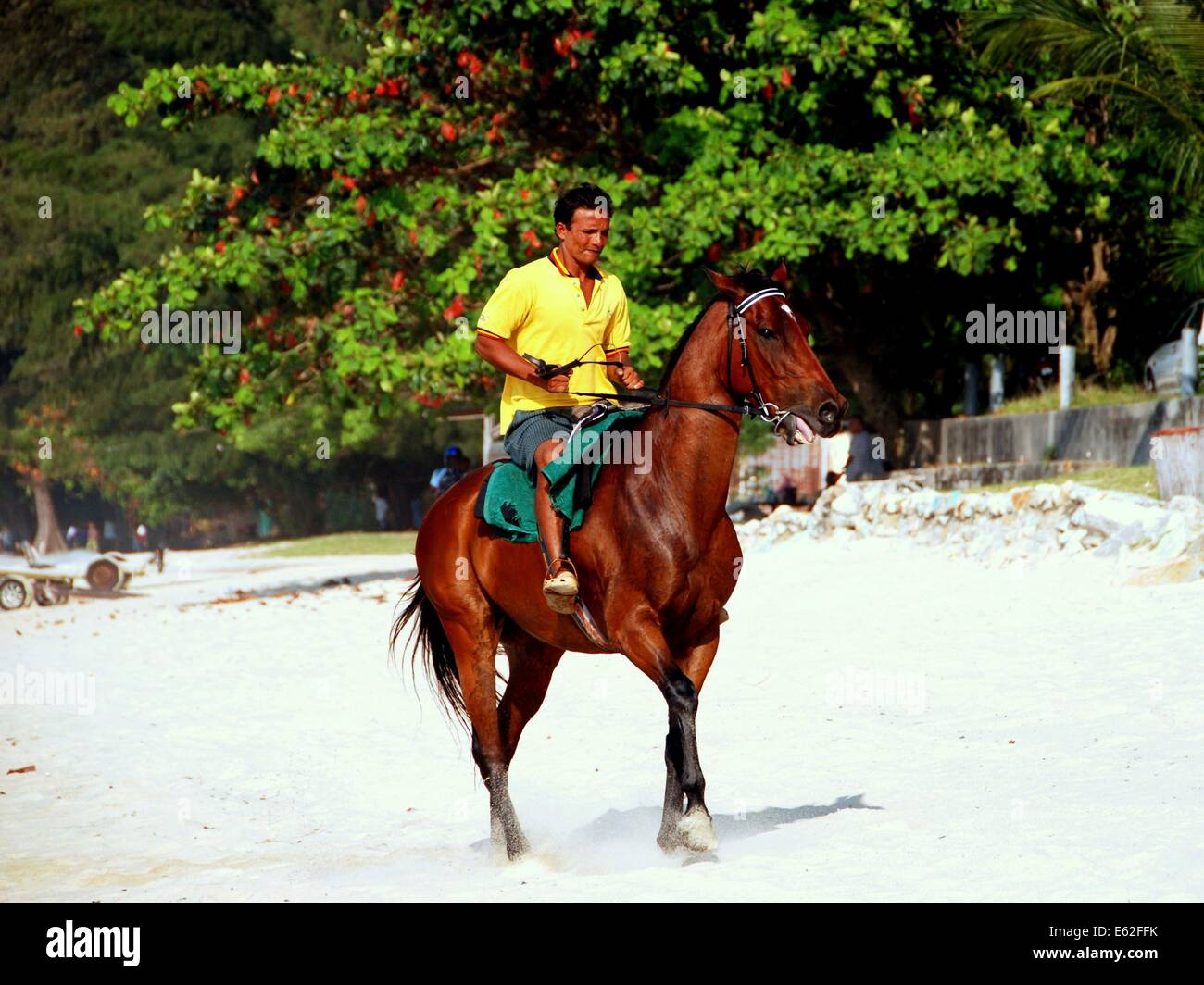 Batu Ferringhi Penang Malaysia A Malay Man Riding His Handsome Horse Along The White Sands Of A North Coast Beach Stock Photo Alamy