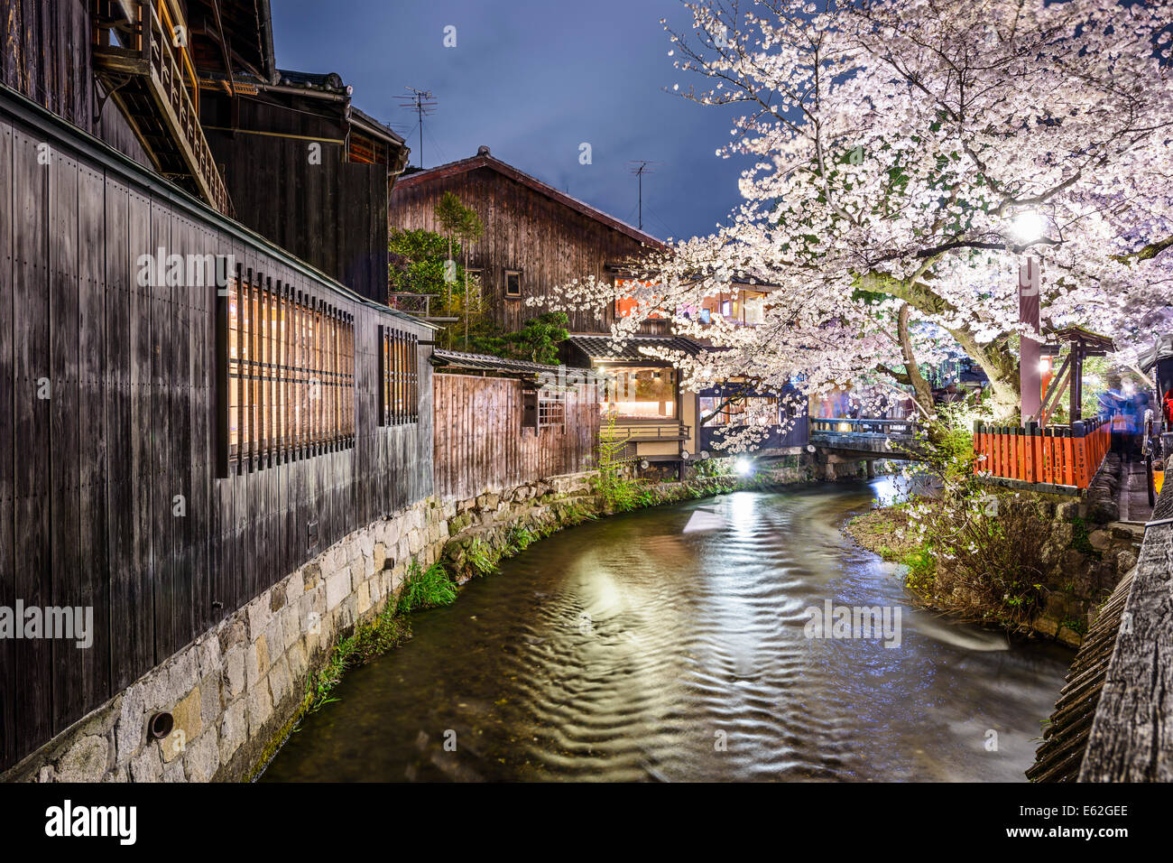 Kyoto, Japan at Shirakawa district in Gion. Stock Photo