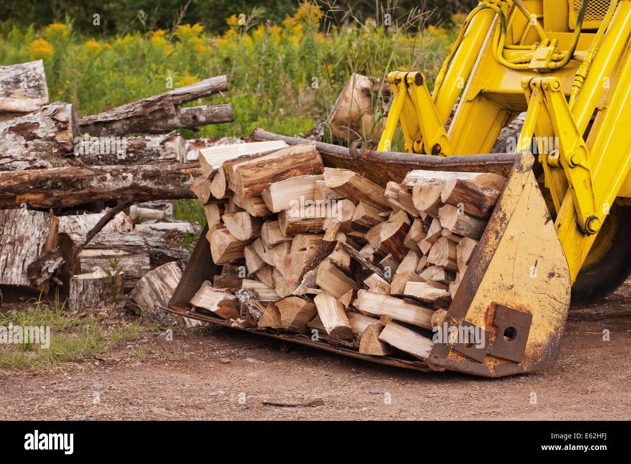Hydraulic loader bucket filled with firewood Stock Photo Alamy