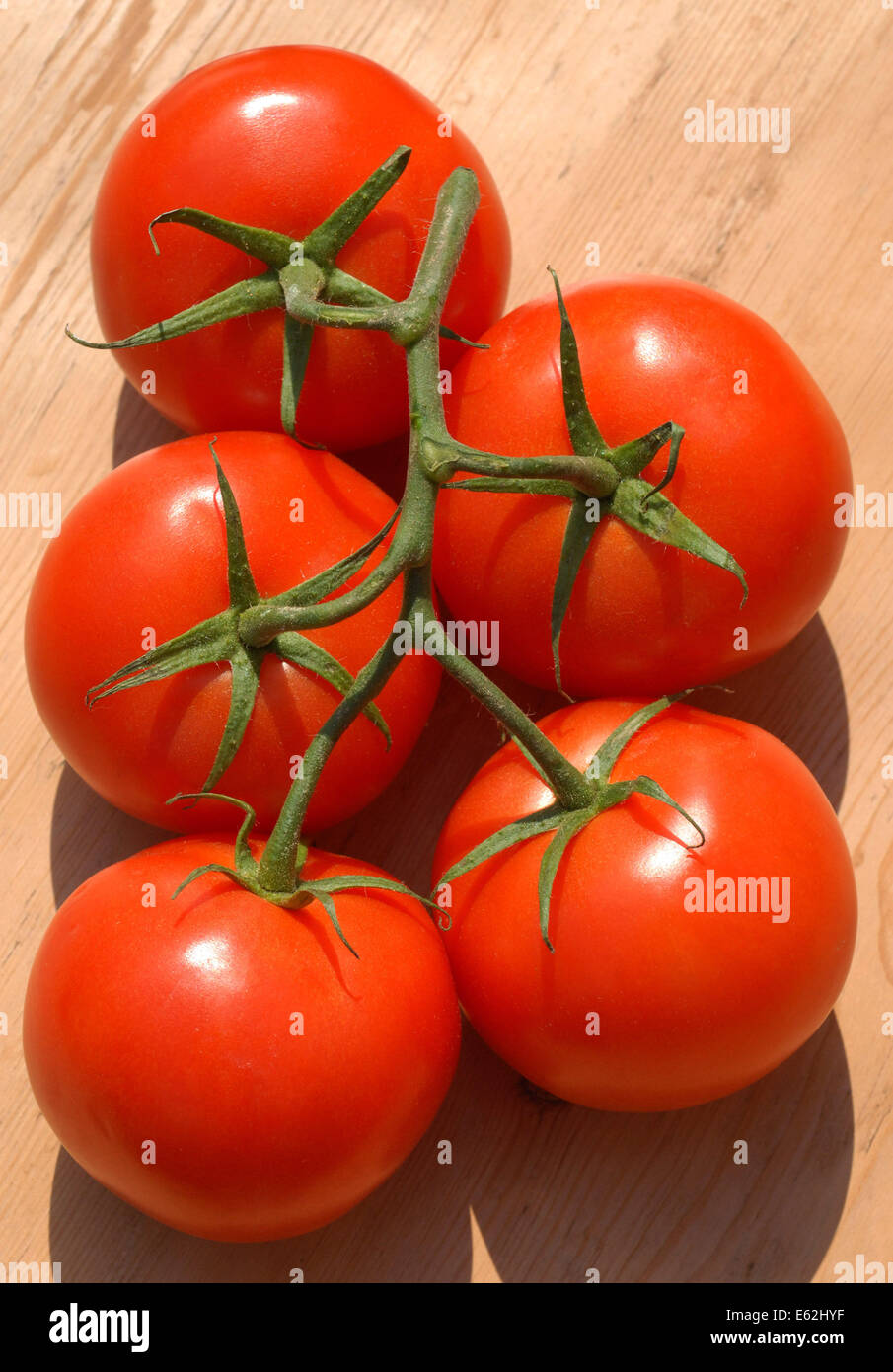 vine ripened tomatoes Stock Photo Alamy
