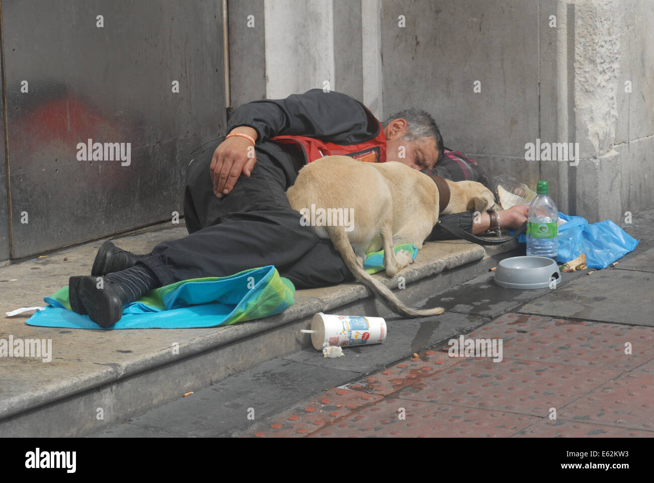 London, UK, 12 August 2014, Homeless man, a Big Issue seller  and his dog on the streets of London. Stock Photo