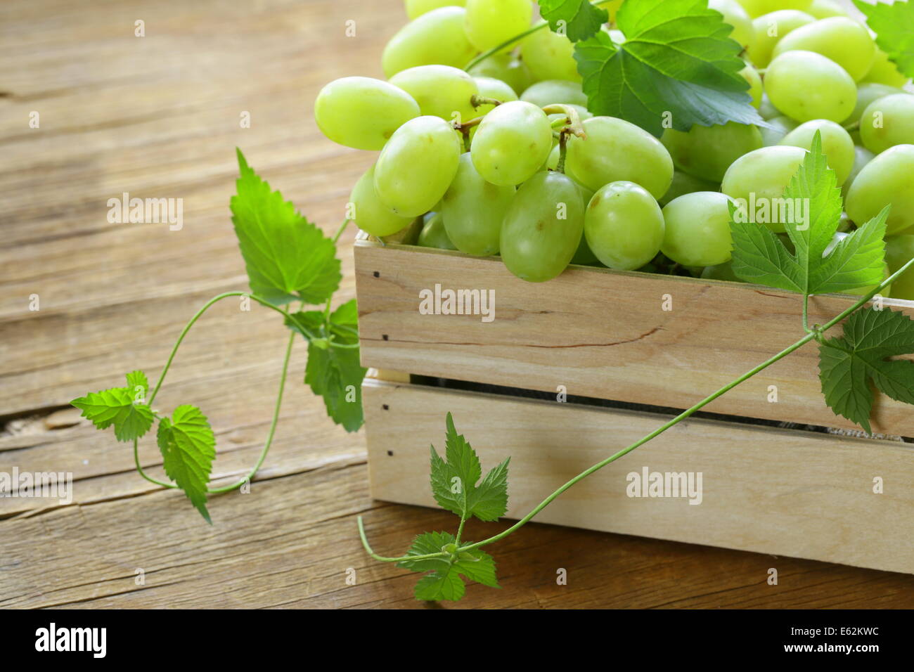 ripe fresh sweet organic grapes in a wooden box Stock Photo - Alamy