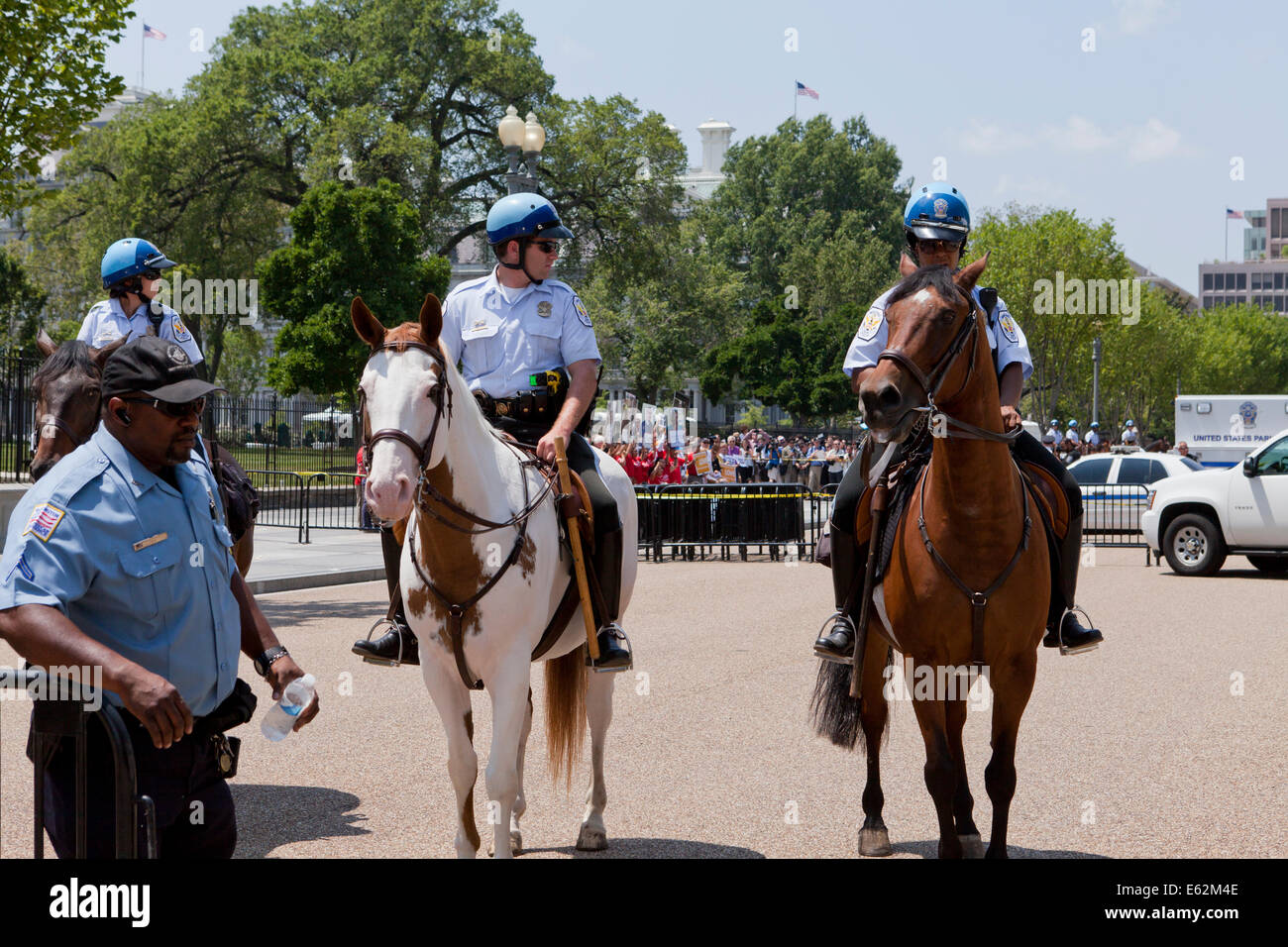 Us Park Police Mounted Unit Washington Dc Usa Stock Photo Alamy