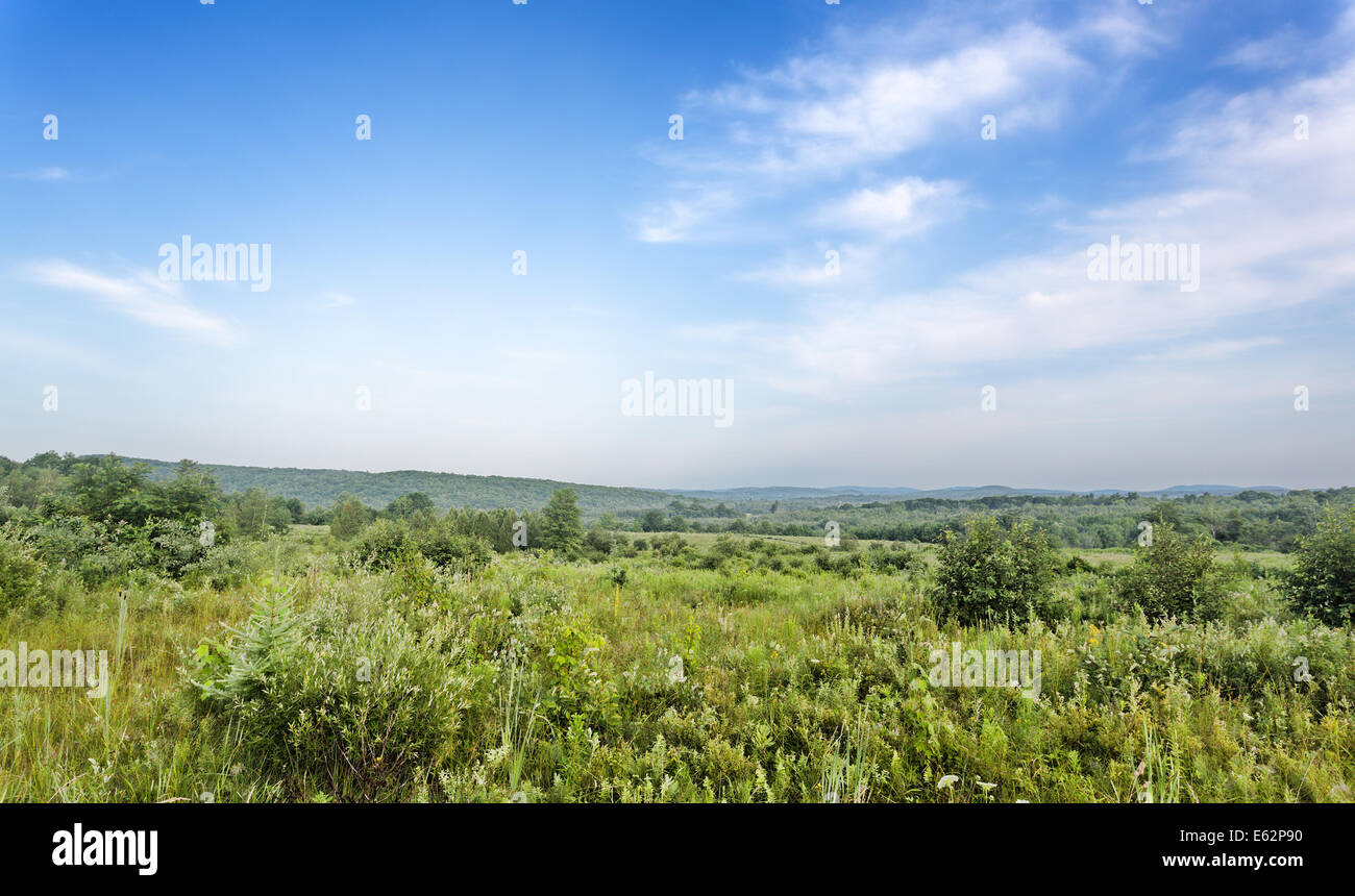 Countryside land hires stock photography and images Alamy