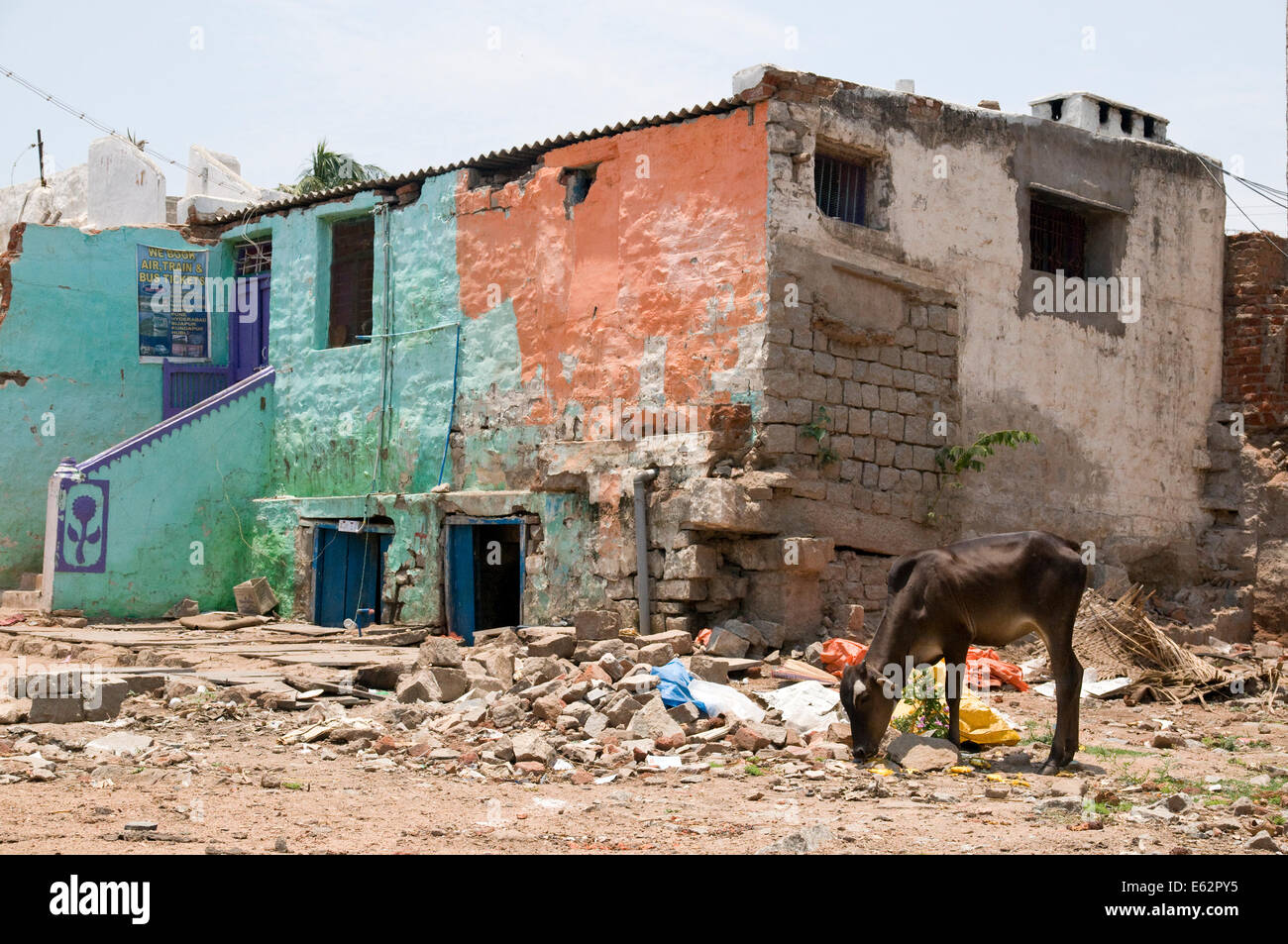 A cow amongst the ruins of the town at Hampi, India Stock Photo