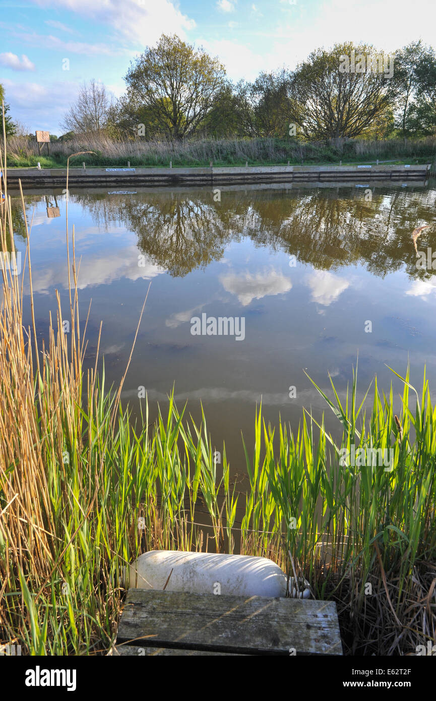 Norfolk broads Horsey Mere river reeds sunshine clouds sun trees Stock ...