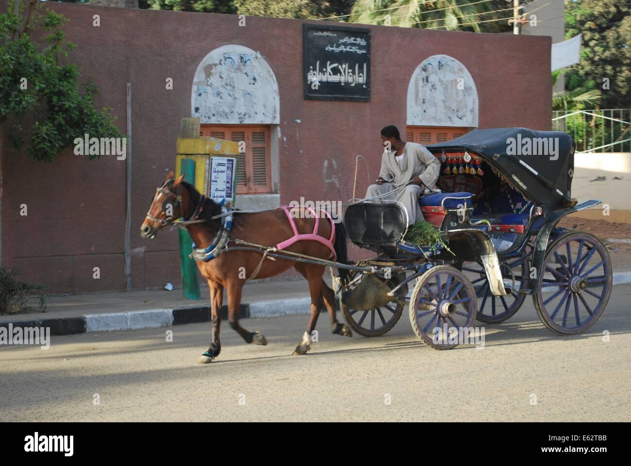Horse drawn carriage in Egypt Stock Photo Alamy