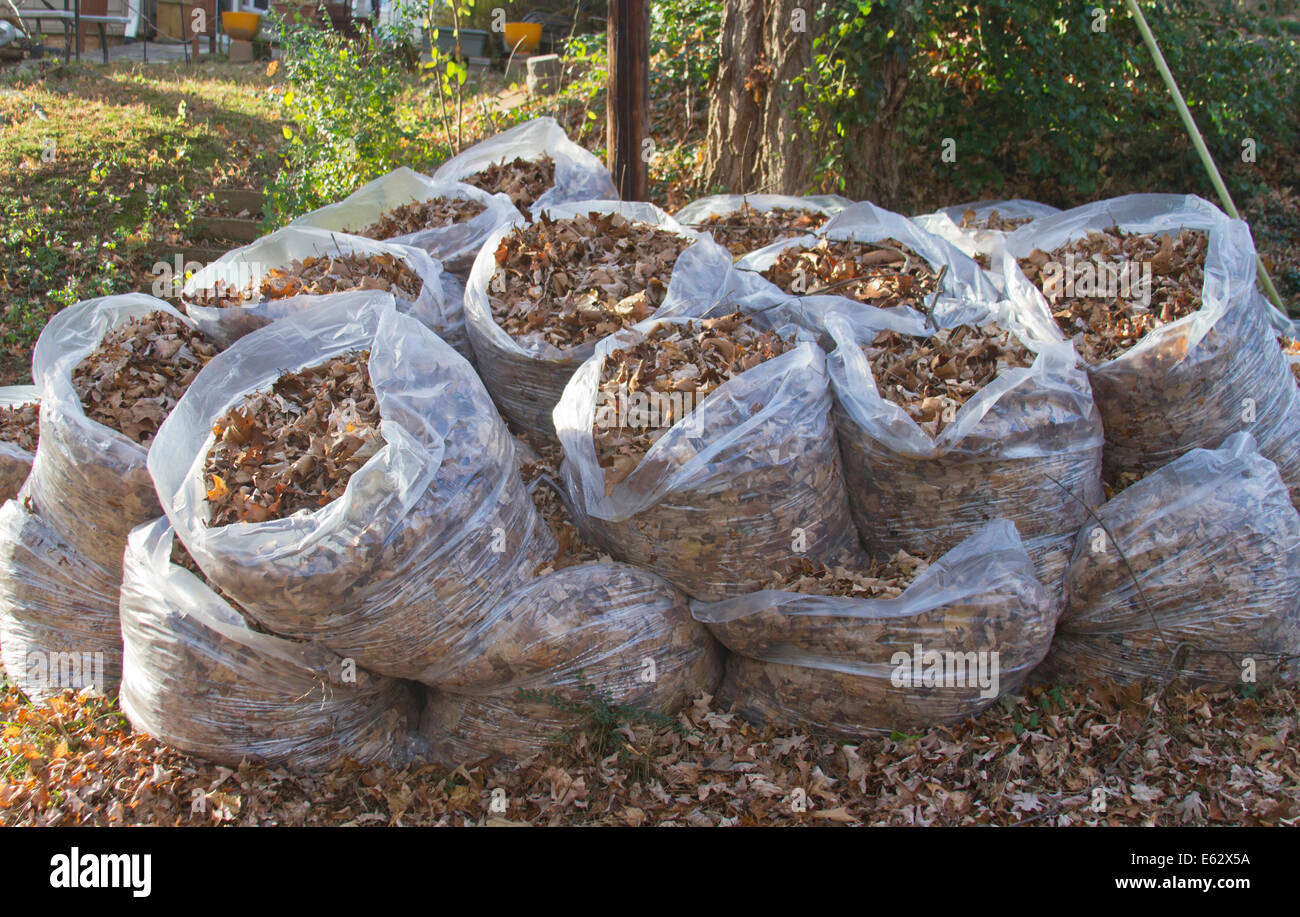 Plastic Trash Bag Caught Tree Stock Photo 1007497297