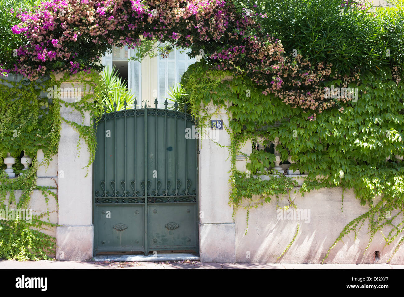 Flowers and plants adorn the gated entrance to a home in Cannes, France Stock Photo