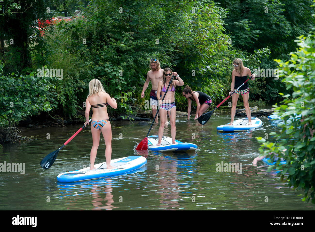 Festival goers enjoy the weather paddleboarding up the river Bray near Filleigh at the annual Somersault Festival, UK Stock Photo