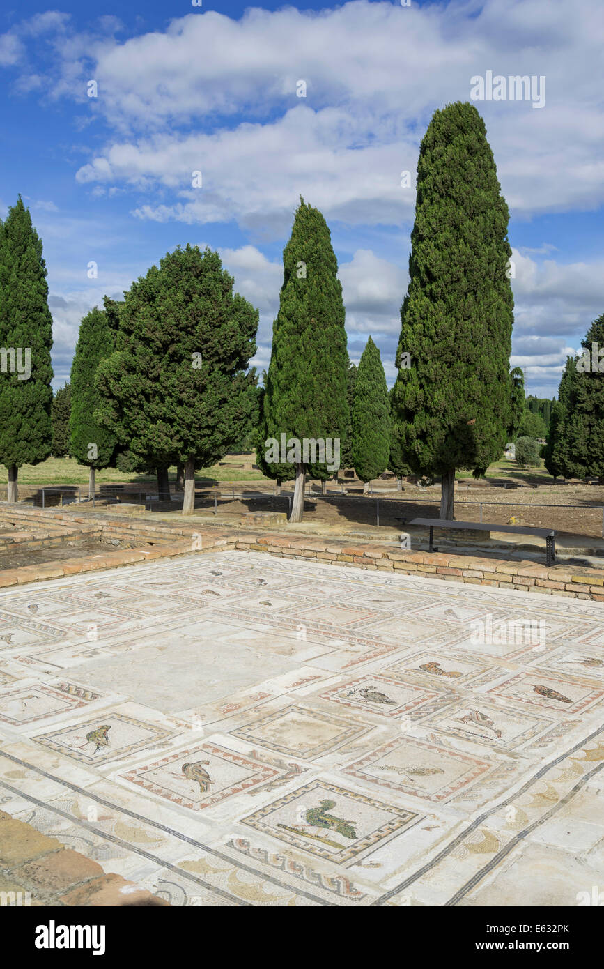 Floor mosaic depicting birds, Roman Casa de la Pajaros, Santiponce, Andalusia, Spain Stock Photo