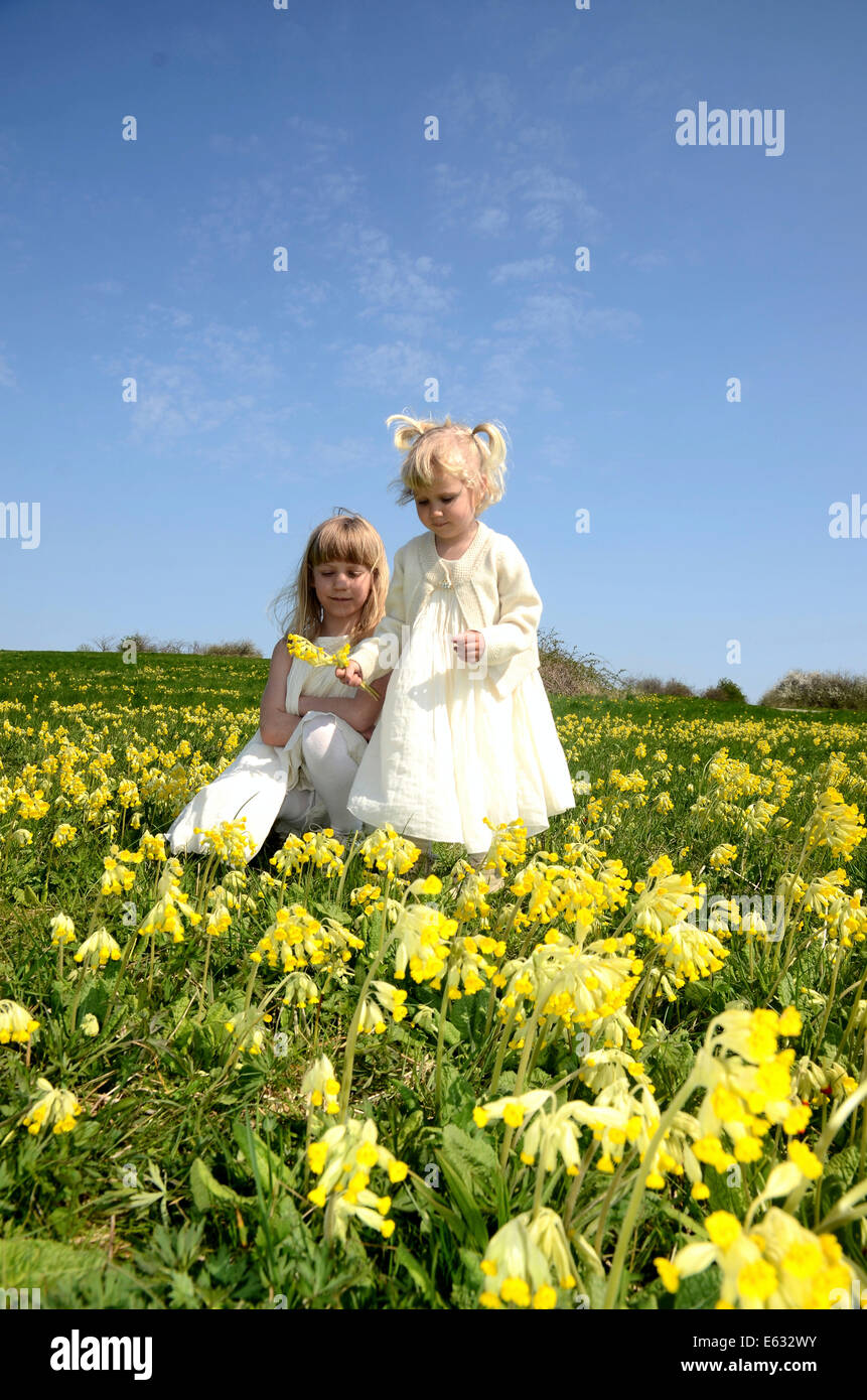 Two girls, 7 and 2 years, wearing summer dresses, in a field of cowslip, Sweden Stock Photo