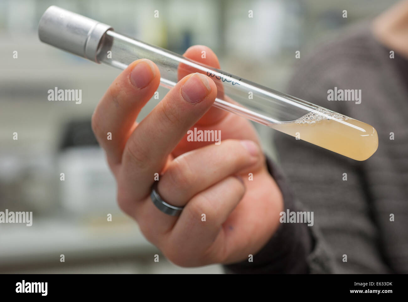 Test tube with yeast sample hires stock photography and images Alamy