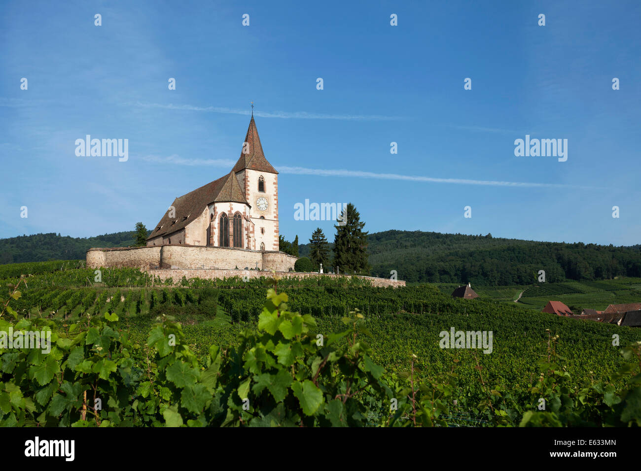 Gothic fortified church of Saint-Jacques in the vineyards, Hunawihr, Haut-Rhin, Alsace Wine Route, Alsace, France Stock Photo