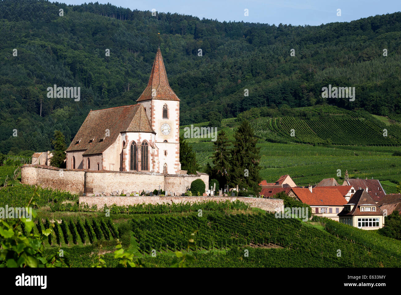 Gothic fortified church of Saint-Jacques in the vineyards, Hunawihr, Haut-Rhin, Alsace Wine Route, Alsace, France Stock Photo