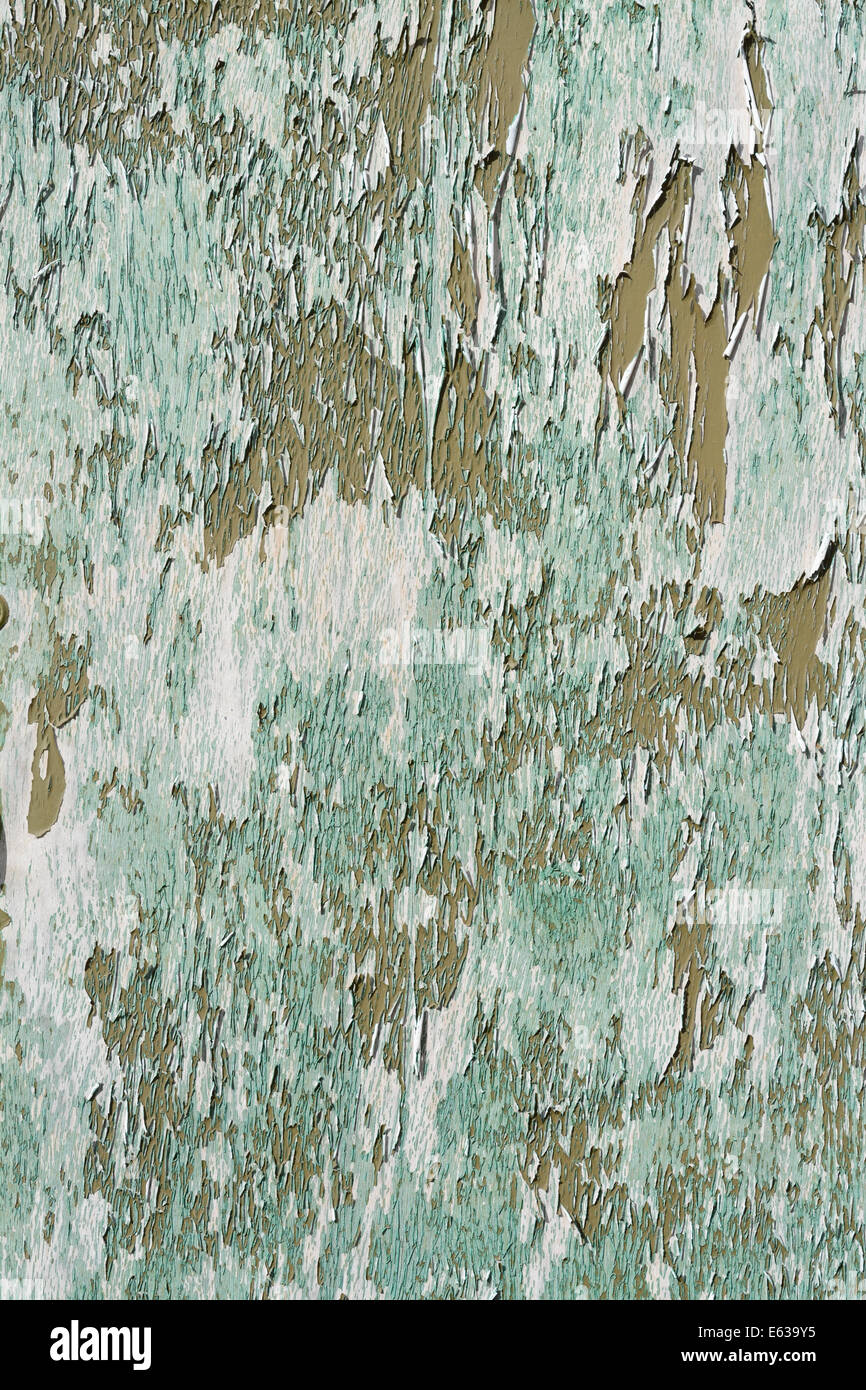 paint peeling on garage doors Stock Photo Alamy