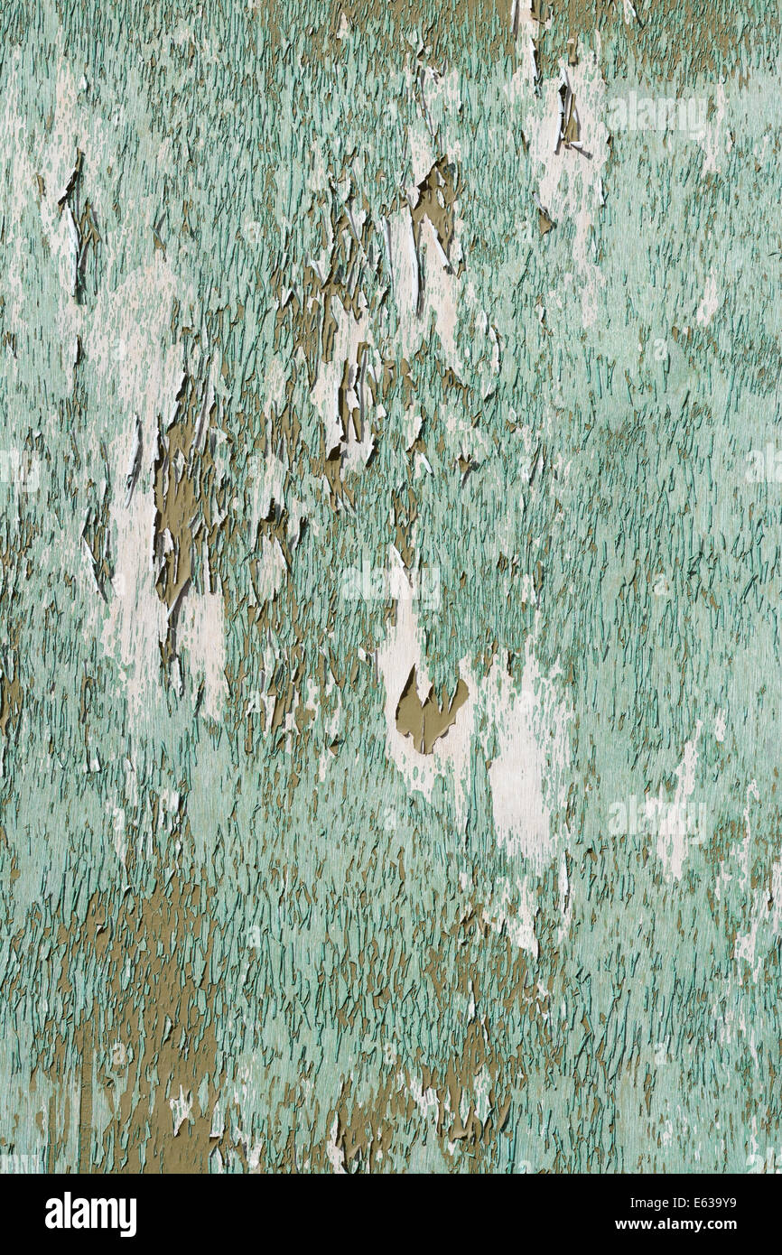paint peeling on garage doors Stock Photo Alamy