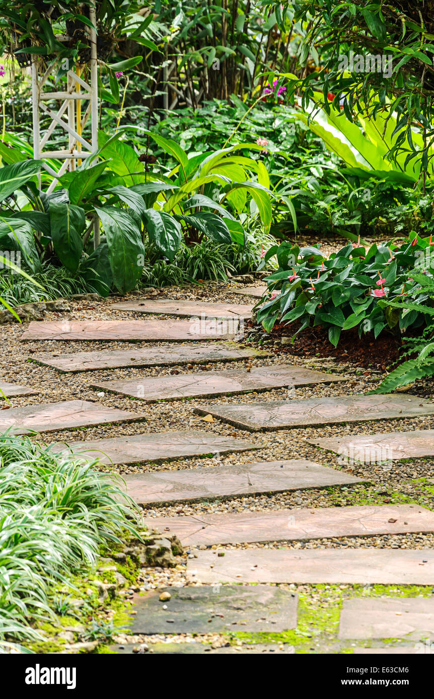 Landscaping in the garden. The path in the garden. Stock Photo