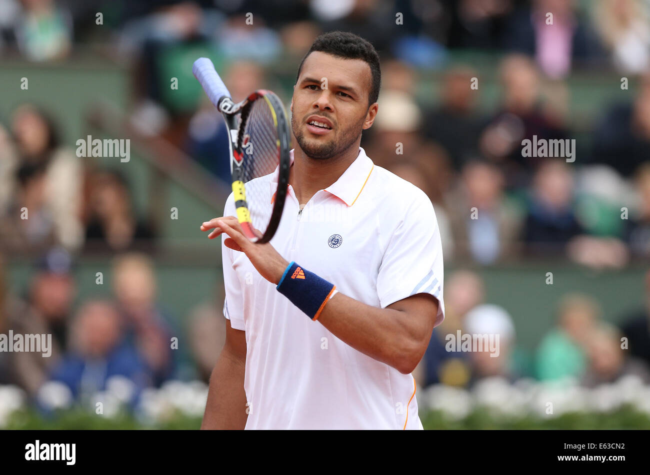 Jo-Wilfried,Tsonga, (FRA),French Open 2014,Roland Garros, Paris,France Stock Photo