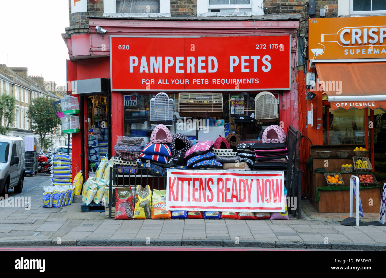 Pampered Pets pet shop, Holloway Road, London Borough of Islington England Britain UK Stock Photo