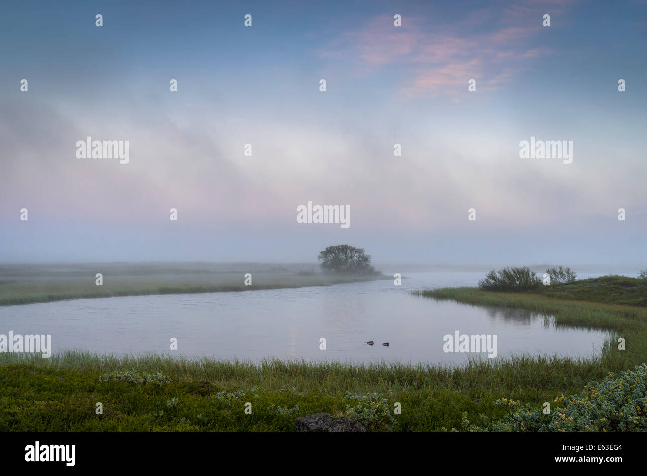 Foggy evening, Lake Myvatn, Northern Iceland Stock Photo