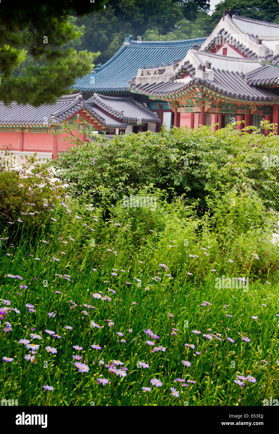 Changdeokgung Palace Stock Photo